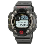 DW-8600