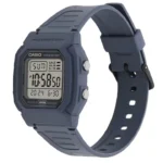 ساعت مچی کاسیو General مدل W-800H-2AVDF